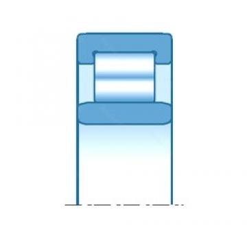 292,100 mm x 387,350 mm x 50,800 mm  NTN RNU5804 Rolamentos cilíndricos